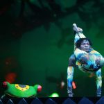 Pic: cirquephenix.com