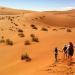 The Namib desert. (Flickr/androgonmagazin)