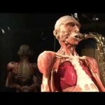 Bodies dissected and on display
