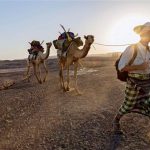 Paul Salopek walks across the Afar desert of Ethiopia on January 28 2013. (Pic: AP / National Geographic Society)