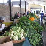 Community members pack vegetables at Harvest for Hope community garden. (Pic: Alexandra Farrington)