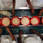 Workers handle cashew nuts at a processing plant in Bouake. (Pic: Reuters)