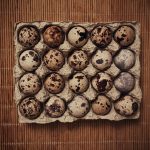The nutritional value of quail eggs is said to be about three times greater than chicken eggs. (Pic: Flickr / ilya)