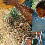 Ethiopian farmer Eshete Eneyew threshes maize in Abay, north of Addis Ababa. (Pic: Reuters)