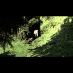 A peek at Ethiopia’s first ever sci-fi feature film