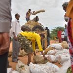 Traders deliver khat to the market at IFO main camp of the Dadaab refugee camp. (Pic: AFP)